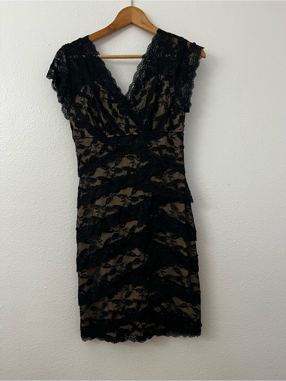 Cache Y2K Lace Sheath Whimsigoth Dress with Nude Lining